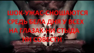 СЕКС СРЕДЬ БЕЛА ДНЯ,У ВСЕХ НА ГЛАЗАХ-НИ СТЫДА,НИ СОВЕСТИ-КУДА МЫ КАТИМСЯ?