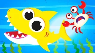 Baby Crab, Where is Your Shell? | Fun Song with Baby Crab and Baby Shark | Fun Songs by Little Angel