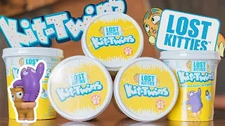 Favorite Ice Cream? | Lost Kitties Series 2 Kit Twins #1 | Flip Book