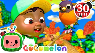 Autumn Leaves 🍂 | CoComelon Nursery Rhymes & Kids Songs