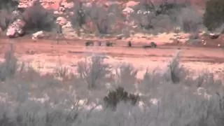 1080 yard hog shot - 338 Lapua