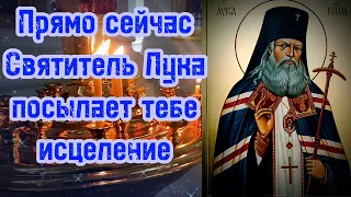 Молитва об Исцелении и Очищении Святителю Луке Крымскому ( Войно - Ясенецкому) Дарует здоровье и мир