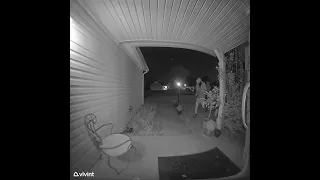 Ring footage of Castleton burglary suspect