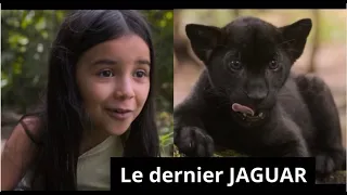 Le dernier JAGUAR // Bande-annonce et résumé // Cinema // Recommandé à 98% // 2024