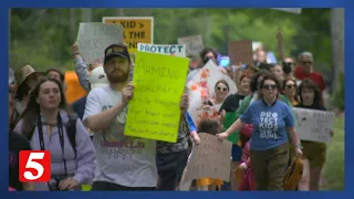 Gov. Lee approved arming teachers. Dozens showed up at his mansion to protest.