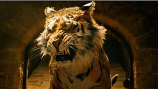 dr dolittle best scenes in hindi | Dr Dolittle funny scene | 🐯 tiger