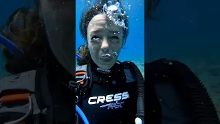 females scuba divers talking underwater