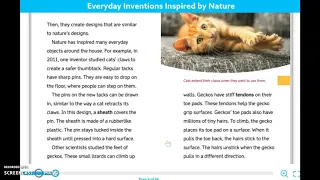 Everyday Inventions Inspired by Nature