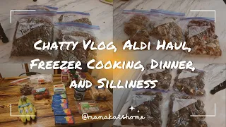 Chatty Vlog, Aldi Haul, Freezer Cooking, Dinner, and Silliness