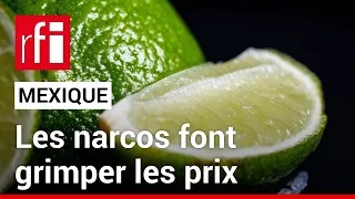 Mexique : les narcos font grimper les prix du citron vert • RFI