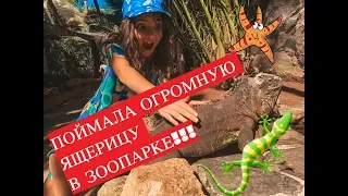 Канары Тенерифе Джангл парк аттракционов | Зоопарк | Tenerife Jungle Park  Zoo