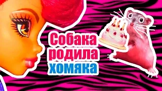 ВЫЗОВ ПРИНЯТ! СОБАКА РОДИЛА ХОМЯКА! Стоп моушен