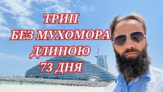 ВОЛШЕБНЫЙ ТАЙЛАНД🌴ЗАТОПЛЕННЫЙ ДУБАЙ⛔ 20000 КМ БЕЗ МУХОМОРА🍄