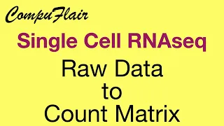 How to Convert Single Cell RNA-Seq Raw Data to Matrix Count | NextFlow nf-core & CompuFlair Web App