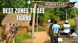 Best Zones in Bandhavgarh National Park for Tiger Sighting | Full Information for Jungle Safari