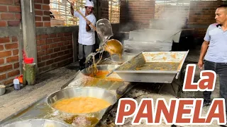 COLOMBIA es el segundo mayor productor de PANELA en el mundo (Documental)