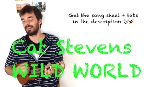 WILD WORLD Ukulele TUTORIAL - Cat Stevens w/ easy chords & riffs