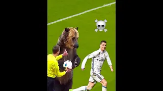 Animals in football ⚽️🐻