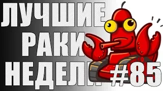 ЛРН выпуск №85. ПУШКА-ЗАВИТУШКА и ВЗВОД ИЗ ЧЕТЫРЕХ ЧЕЛОВЕК [Лучшие Раки Недели + лайфхак]