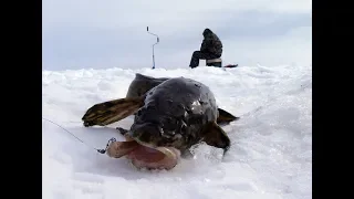 Зимняя Рыбалка.ПЕРВЫЙ ЛЁД!!!
