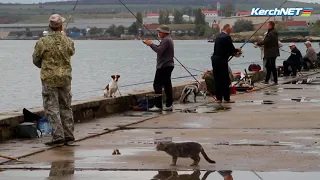 В Керчи и стар, и млад, ходят на рыбалку