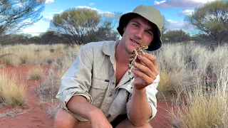 THORNY DEVILS AND KING BROWNS ON ONE OF AUSTRALIA’S MOST REMOTE DESERT TRACKS