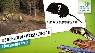 Bachrenaturierung am Grünen Band I BUND Naturschutz