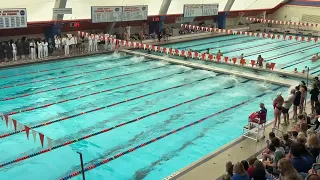 M50 Free (Liendo, 19.43) - 2023 Florida vs Virginia