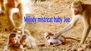 Horrible Mistreat Baby Joe By So Mean Kidnapper Milody / How Cruel Milody Mistreat Baby Monkeys ?