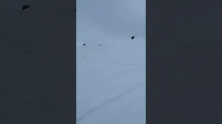 Snowmobile Re Entry Fail