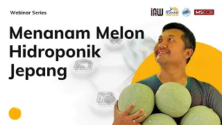 Menanam Melon Hidroponik Jepang - ITB92 Webinar