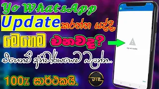 Yo WhatsApp Update Not installed problem Fix Without data lose | Sinhala