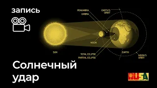 Александр Литвин: солнечный удар