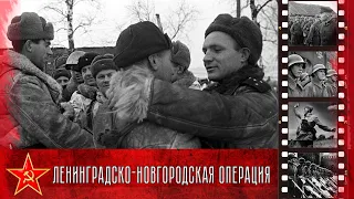 Победа под Ленинградом и Новгородом, (14 января — 1 марта 1944 г.)
