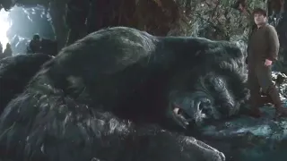 Capturando Kong - King Kong (2005)