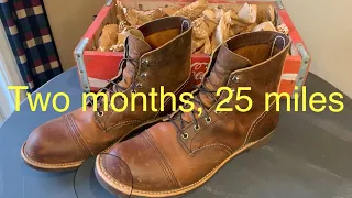 Red Wing Iron Ranger (copper rough and tough)| Two Months In!!