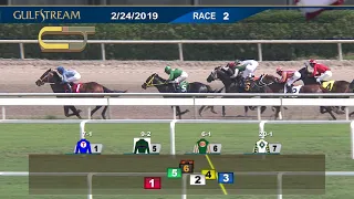 Gulfstream Park Carrera 2 - 24 de Febrero  2019