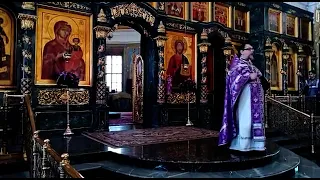 Проповедь в день памяти 40 мучеников Севастийских. Иерей Константин Корепанов (22.03.2021)