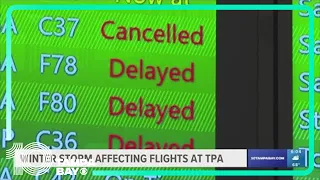 Travel disruption at TPA: Winter storm leads to numerous flight delays and cancellations