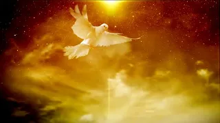 Holy Spirit in a form of Dove   video background loop 1080p Full HD