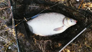 Karšių žvejyba. Ankstyvo pavasario žūklės Atmatos upėje.