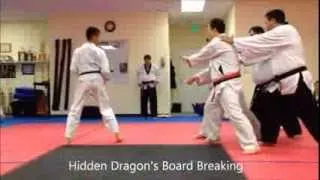 Hidden Dragon's Board Breaking