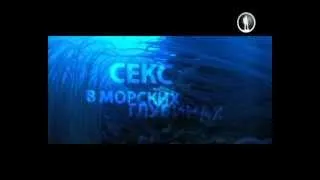 Секс в морских глубинах