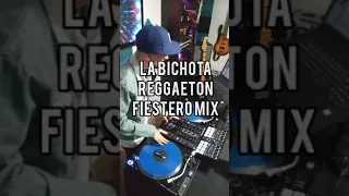 La Bichota Reggaeton Fiestero Mix Pioneer PLX 1000 Traktor Z2 Phase Serato DJ Pro - DJ Careless One