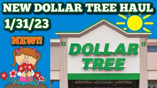 NEW DOLLAR TREE HAUL 🤑 1/31/23. MORE GREAT FINDS AT DT
