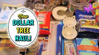 DOLLAR TREE HAUL!  New finds!  October 9, 2020 #LeighsHome