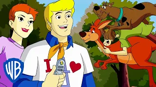 Scooby-Doo! auf Deutsch | Mystery Inc. International 🌎 | WB Kids