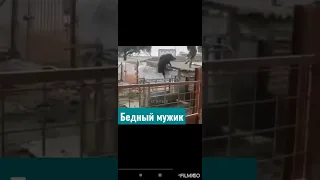 Свинья 🐷 даёт жару!!!#shorts #лучшие приколы