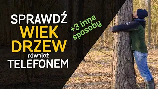 Jak określić wiek drzewa? - Telefonem i innymi sposobami. - o Lesie #36