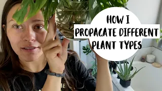 Grow Your Plant Collection for FREE! | HOW TO PROPAGATE HOUSEPLANTS FROM CUTTINGS!